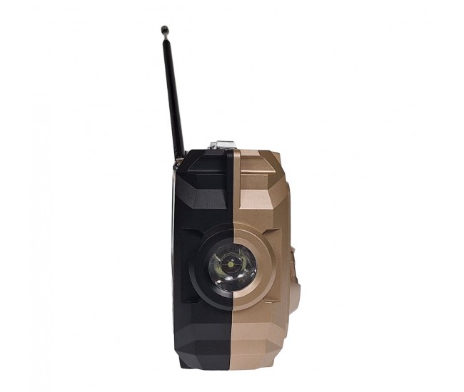 Radio MP3 Portabil Bluetooth, Incarcare solara, Lanterna, USB, TF, AUX, Gold - PX778GOLD