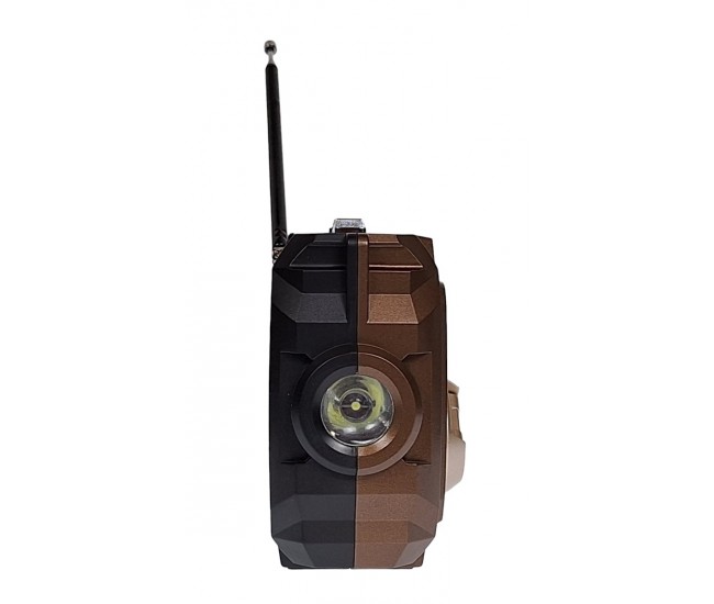 Radio MP3 Portabil Bluetooth, Incarcare solara, Lanterna, USB, TF, AUX, Maro - PX778BROWN