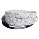 BANDA LED 2835 - 120LED/M , INTERIOR - DC 12V 9,6W/ML , 5M/ROLA , ALB-RECE