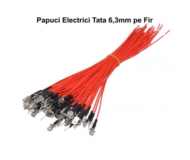 PAPUC ELECTRIC 6,3MM TATA CU FIR 100BUC/SET