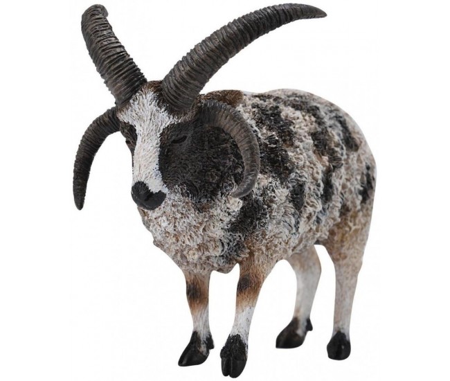 Figurina jacob sheep l collecta