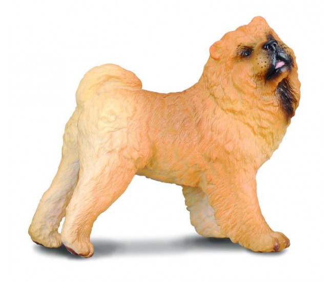 Chow chow - collecta