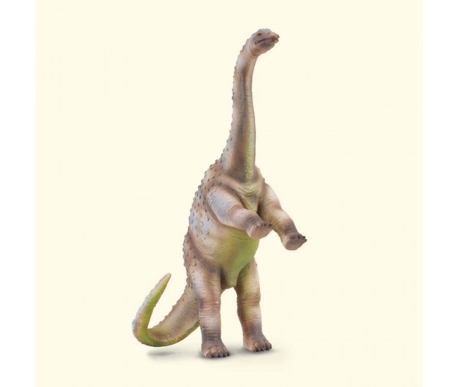 Rhoetosaurus  - collecta