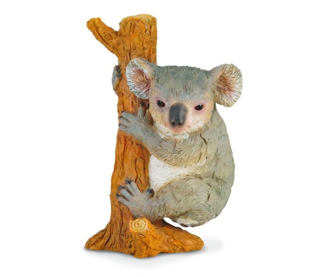 Koala - collecta