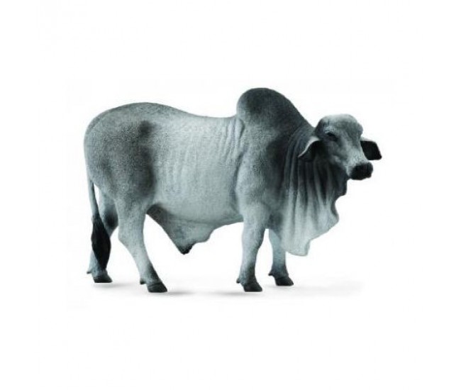 Figurina taur brahman l collecta