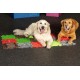 Covoras ortopedic senzorial puzzle set pentru caini