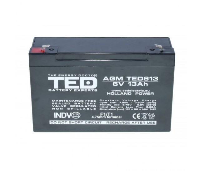 Acumulator Plumb - Acid 6V-13A TED