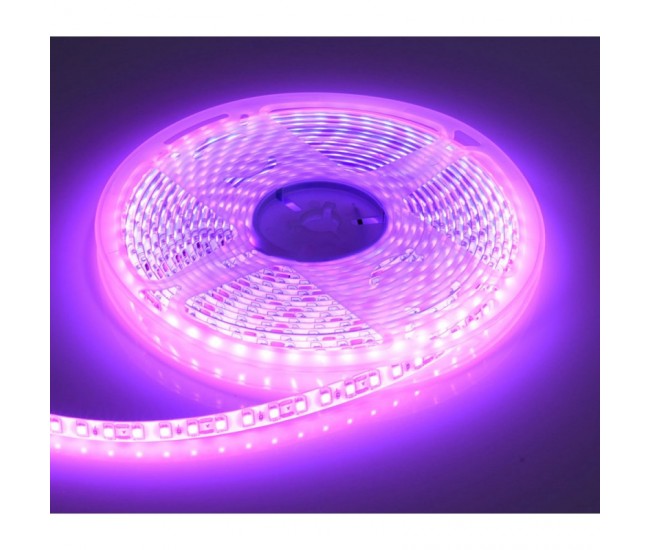 Banda Led 2835 - Roz-Pink 120led/m, EX-IP65 Rola/5m