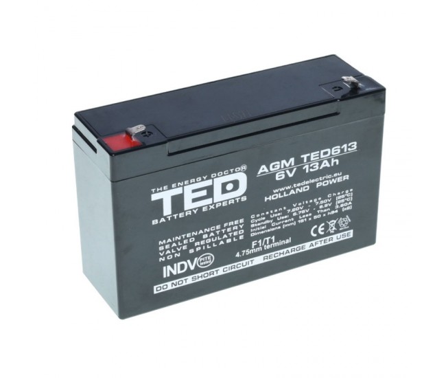 Acumulator Plumb - Acid 6V-13A TED