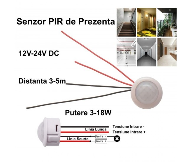 Senzor Pir 12-24V DC cu 4 Fire 25x20mm