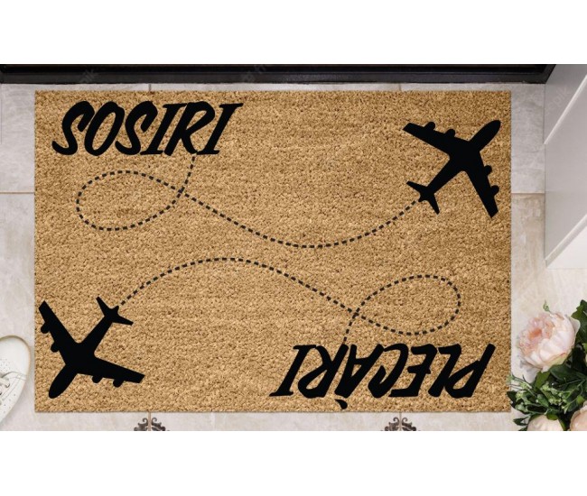 COVORAS INTRARE 60X40 CM, PLANE, HEINNER HOME