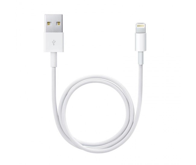 Apple Lightning to USB Cable (0.5 m)