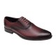 Pantofi barbati eleganti din piele naturala Bordeaux Kode - GKR84VIS